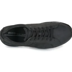 Ecco - BYWAY