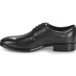 Ecco - CITYTRAY