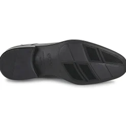 Ecco - CITYTRAY