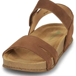 El Naturalista - BALANCE N5790