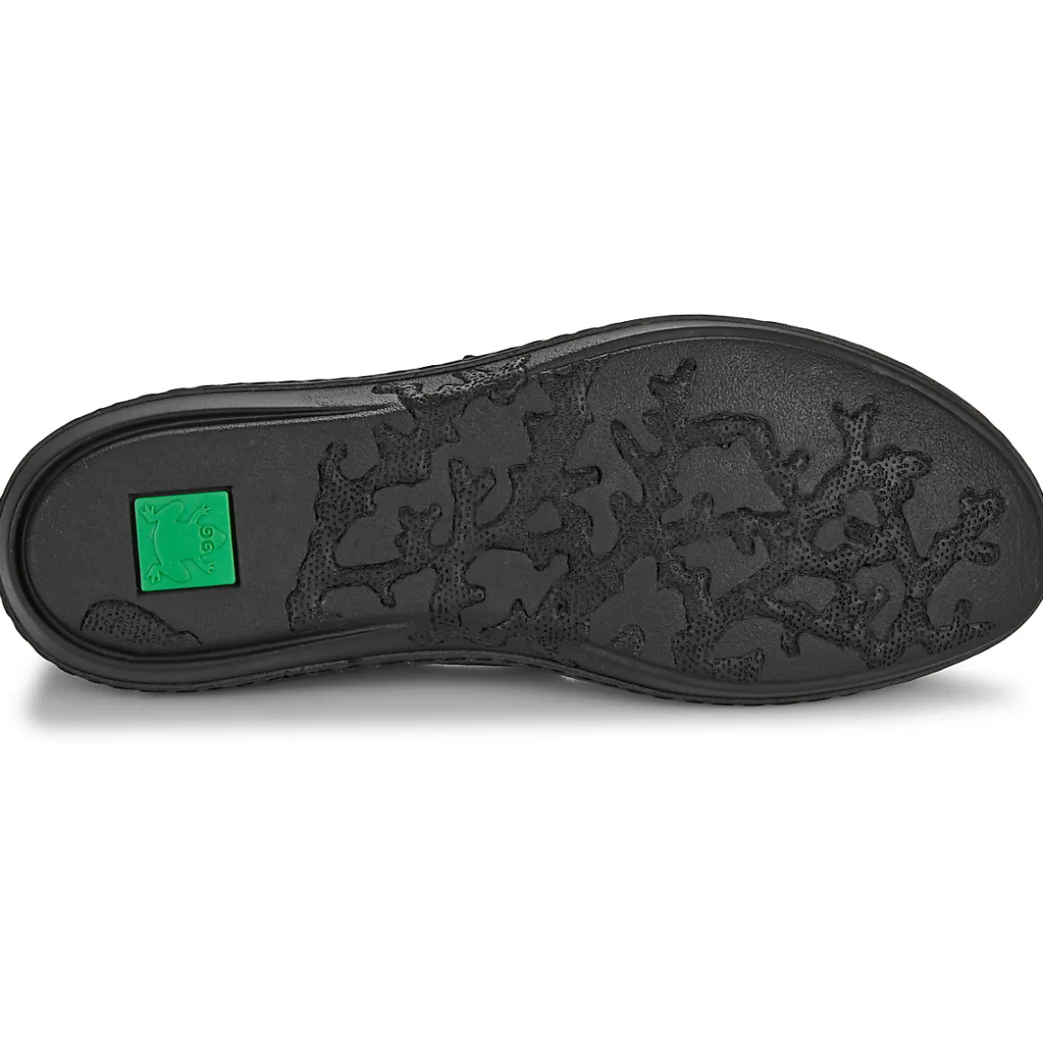 El Naturalista - CORAL N5348