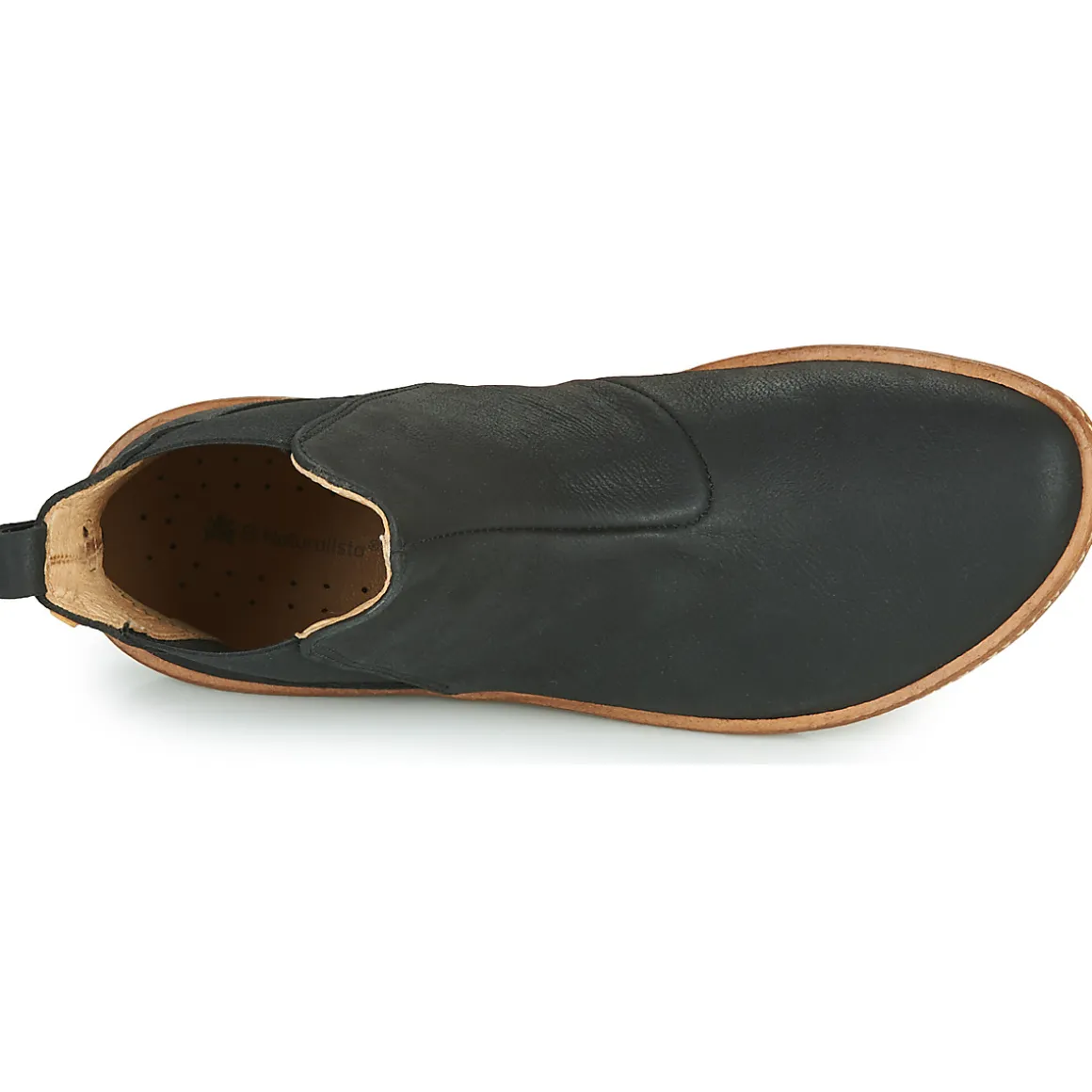 El Naturalista - CORAL N5310