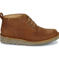 El Naturalista - FELSEN N5630