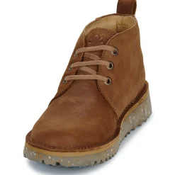 El Naturalista - FELSEN N5630