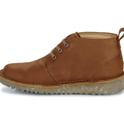El Naturalista - FELSEN N5630