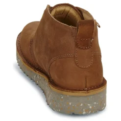 El Naturalista - FELSEN N5630