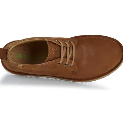 El Naturalista - FELSEN N5630