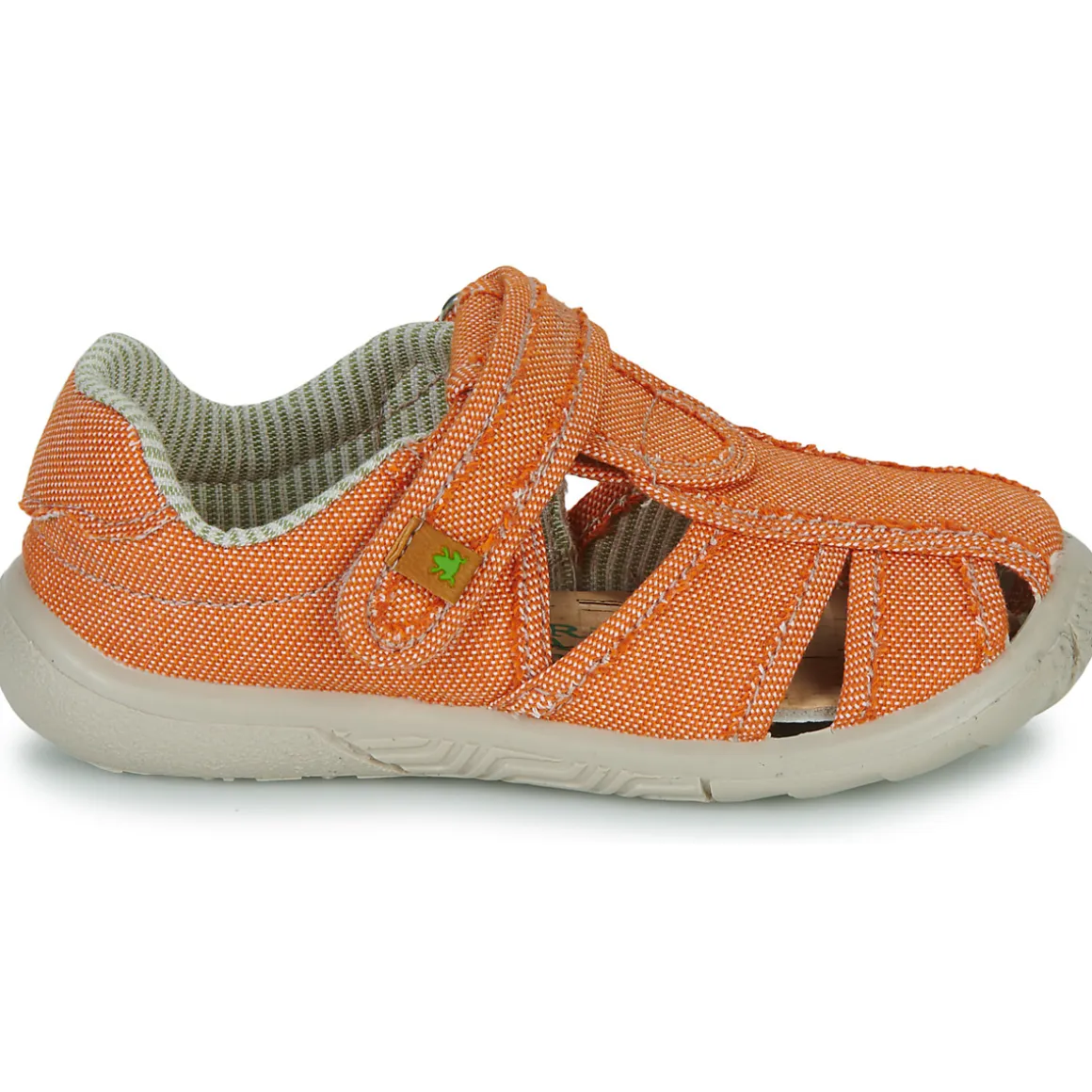 El Naturalista - NT74196