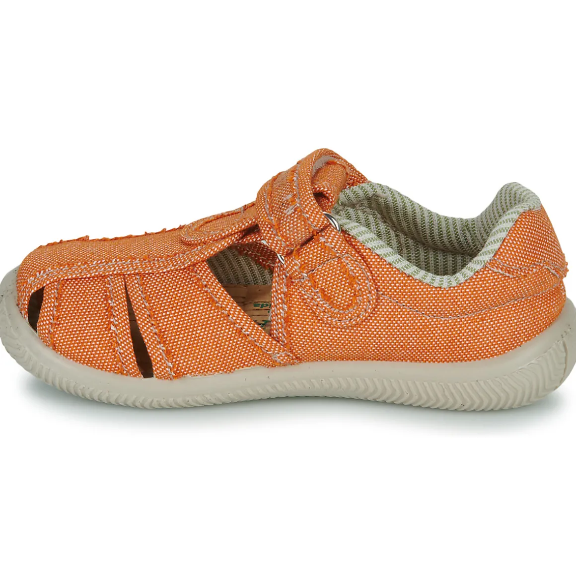 El Naturalista - NT74196