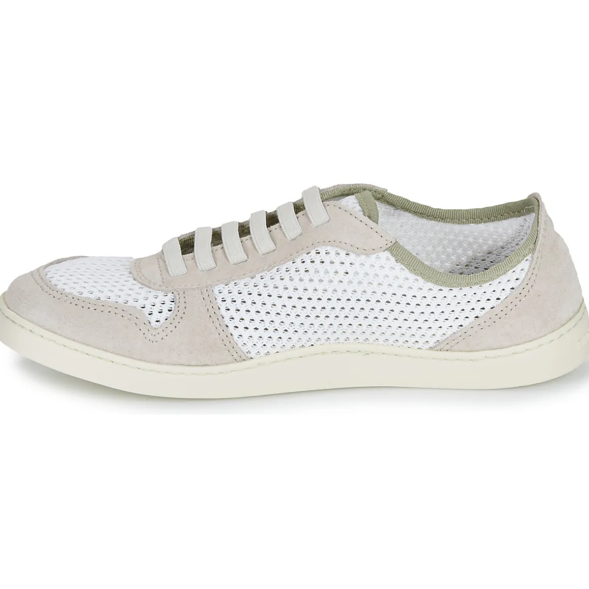 El Naturalista - ORIGEN N5914