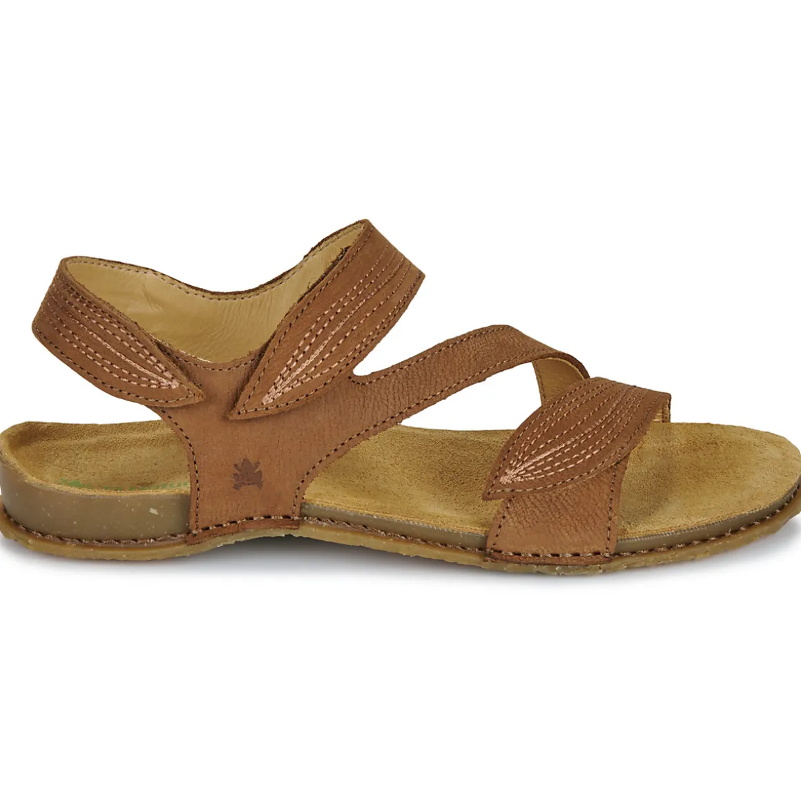 El Naturalista - PANGLAO N5810