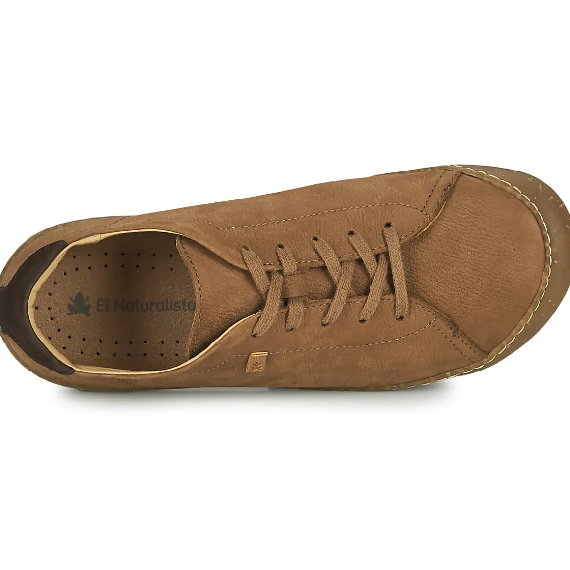 El Naturalista - PAWIKAN N5770