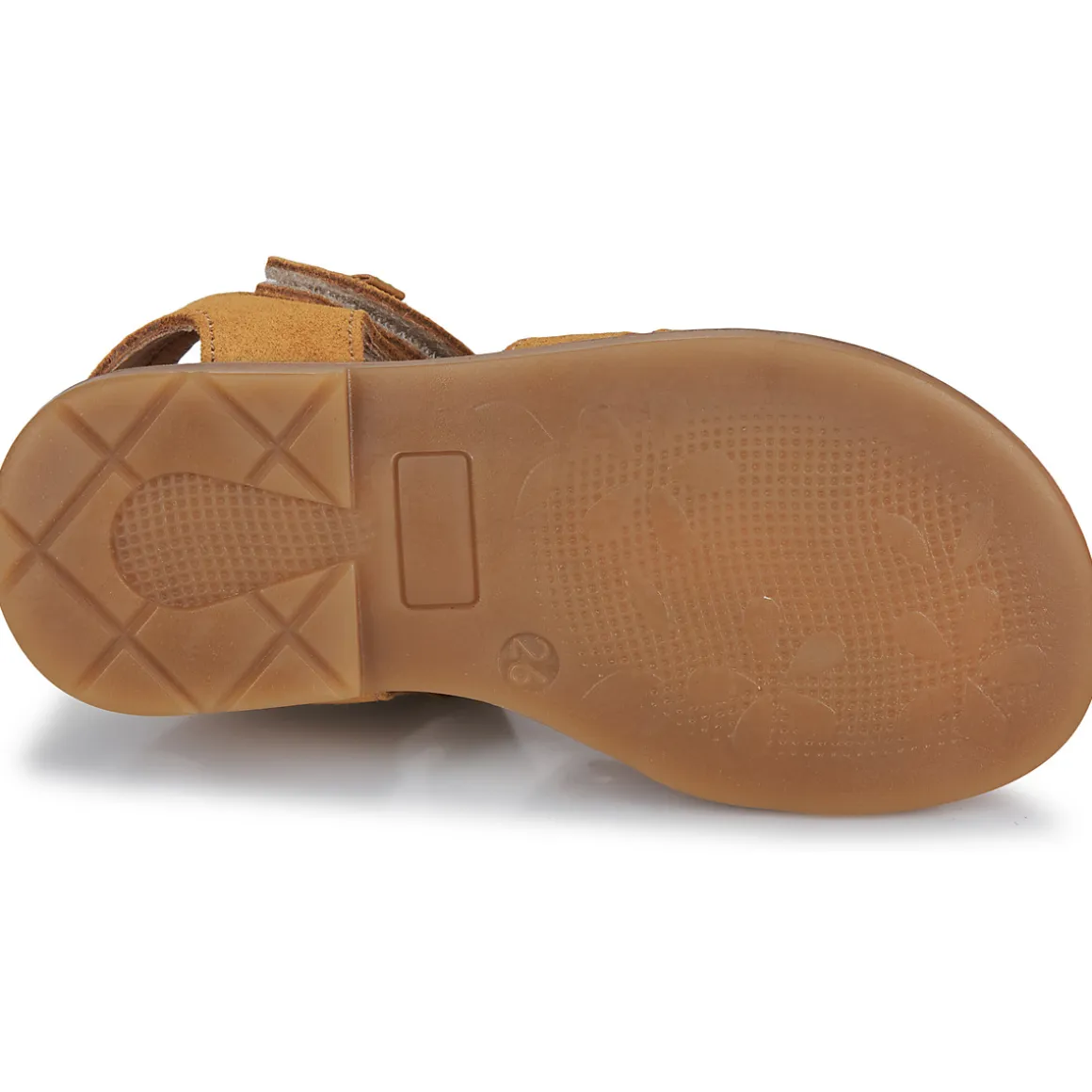 El Naturalista - 15275-SETTER