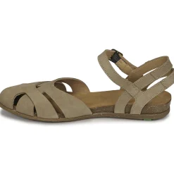 El Naturalista - STELLA N5207