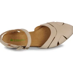 El Naturalista - STELLA N5207