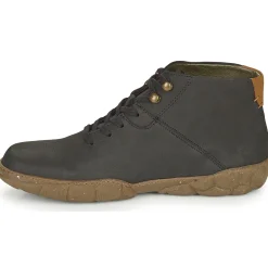 El Naturalista - TURTLE N5083