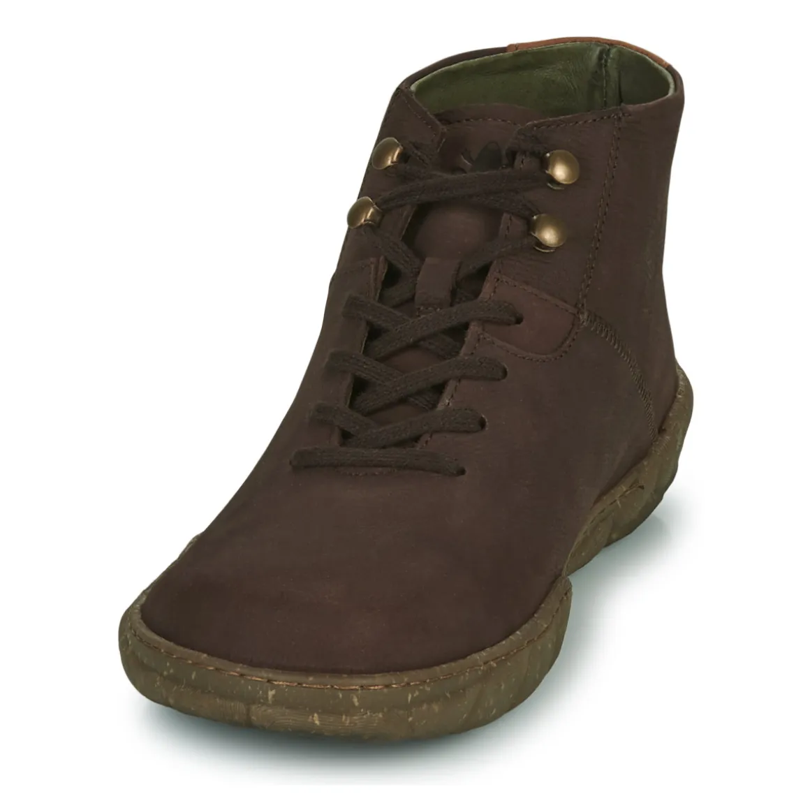 El Naturalista - TURTLE N5083