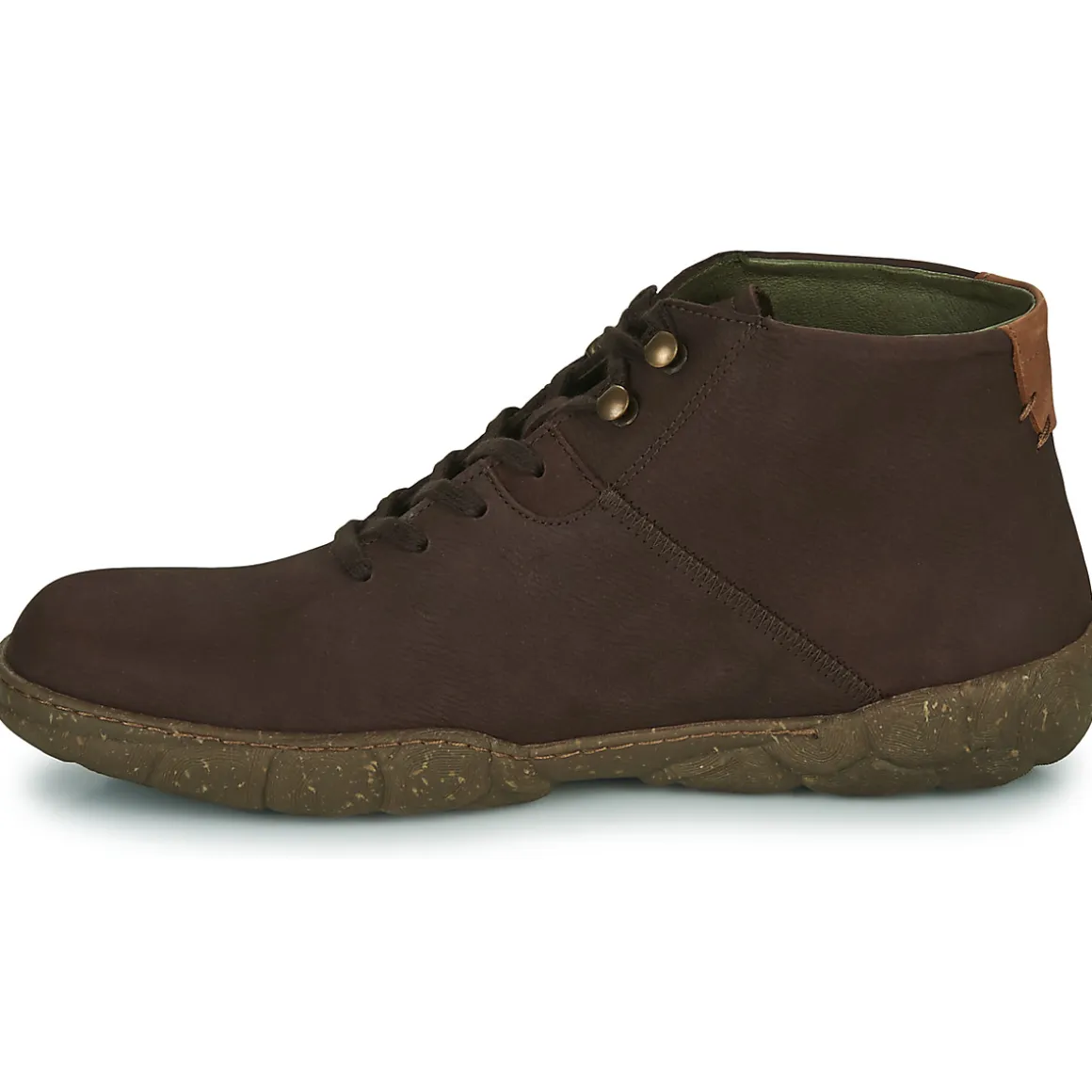 El Naturalista - TURTLE N5083