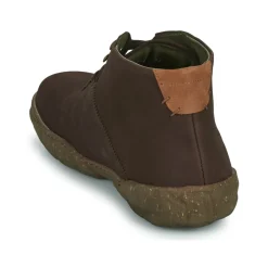 El Naturalista - TURTLE N5083