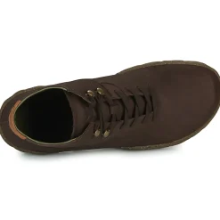 El Naturalista - TURTLE N5083
