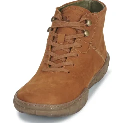 El Naturalista - TURTLE N5083