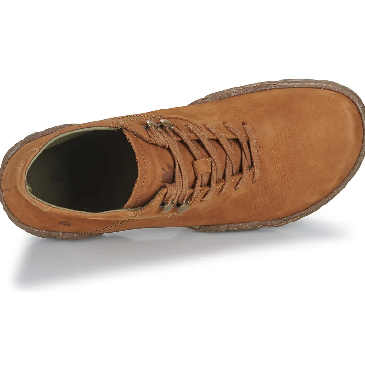 El Naturalista - TURTLE N5083