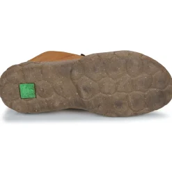 El Naturalista - TURTLE N5083
