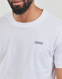 Esprit - SUS F AW CN SS