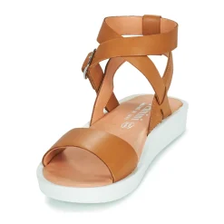Felmini - GINA