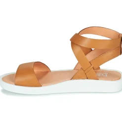 Felmini - GINA