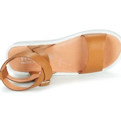 Felmini - GINA