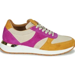 Fericelli - AGATE