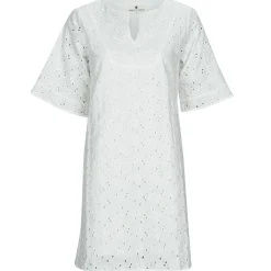 Freeman T.Porter - LOTISSE LACE