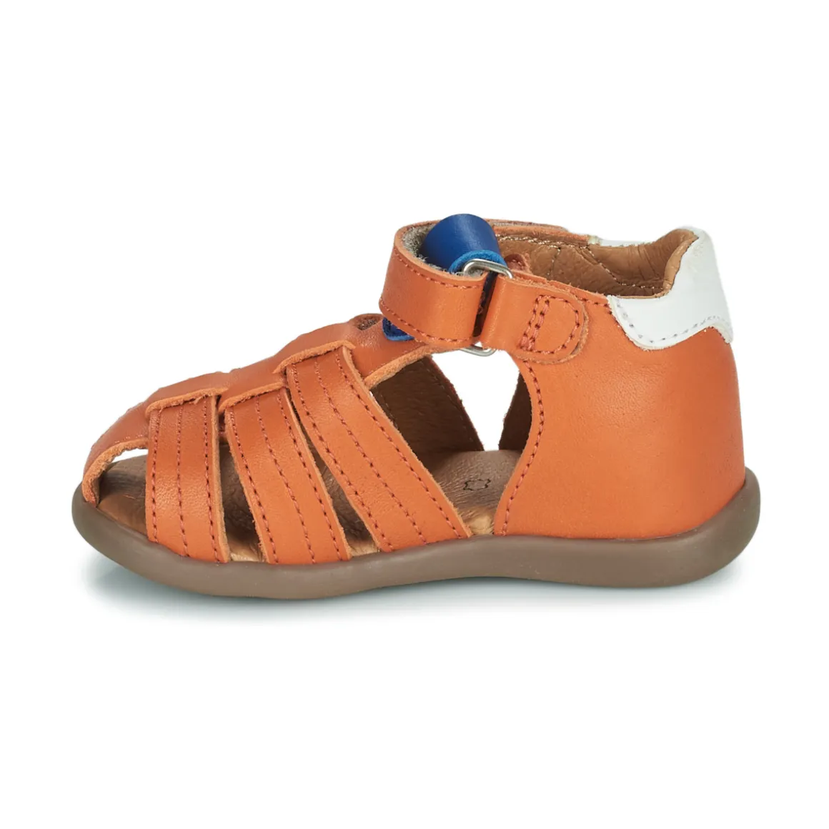 GBB - ALEXO