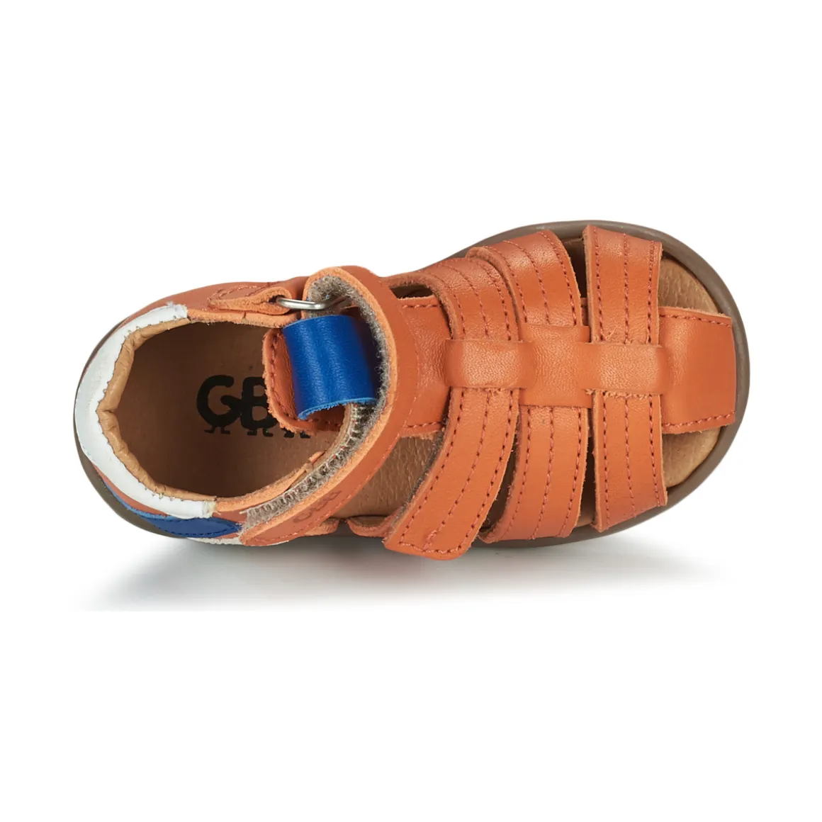 GBB - ALEXO