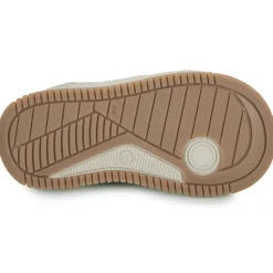 GBB - ANTONIO