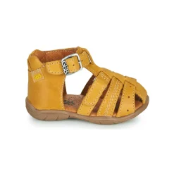 GBB - ARIGO