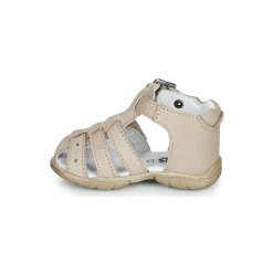 GBB - ARIGO