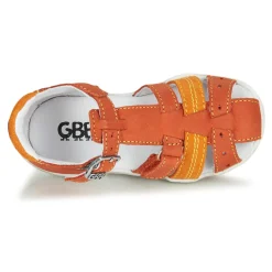 GBB - ARIGO