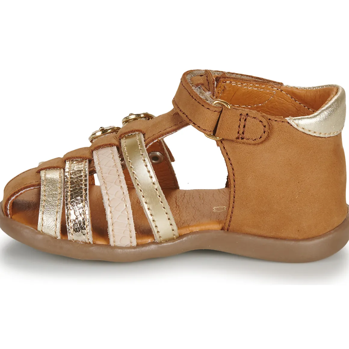 GBB - BABELLA