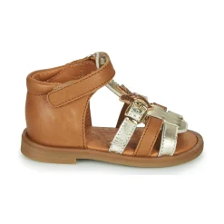 GBB - CARETTE