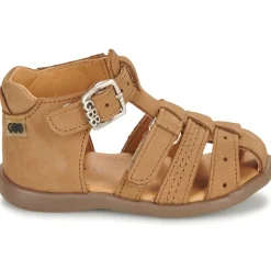GBB - CARIGO