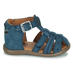 GBB - CARIGO