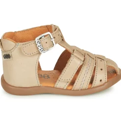 GBB - CARIGO