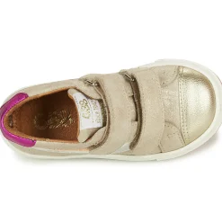 GBB - CARLOTA