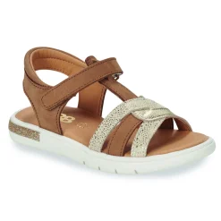 GBB - CLEO