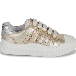 GBB - COLISA