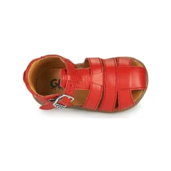 GBB - FARIGOU