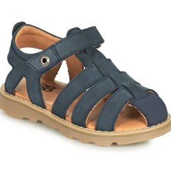 GBB - FERNATO