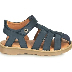 GBB - FERNATO